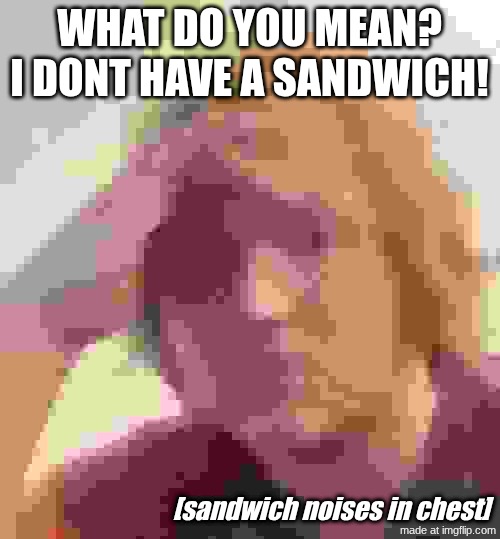 I'm sorry...what's the sandwich limit? | WHAT DO YOU MEAN? I DONT HAVE A SANDWICH! [sandwich noises in chest] | image tagged in i'm sorry what's the sandwich limit | made w/ Imgflip meme maker