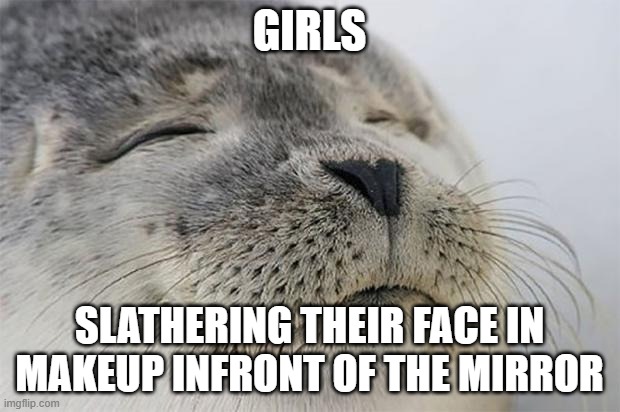 Satisfied Seal | GIRLS; SLATHERING THEIR FACE IN MAKEUP INFRONT OF THE MIRROR | image tagged in memes,satisfied seal | made w/ Imgflip meme maker