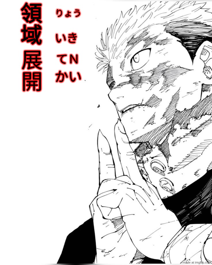 領域展開…魂を引き裂く神社。 | りょう; 領
域; 展
開; いき; てＮ; かい | image tagged in yuji domain expansion | made w/ Imgflip meme maker