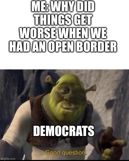 They not gonna answer | ME: WHY DID THINGS GET WORSE WHEN WE HAD AN OPEN BORDER; DEMOCRATS | image tagged in shrek | made w/ Imgflip meme maker