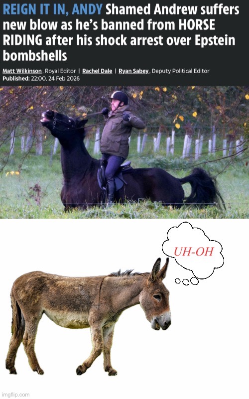 Good News Bad News | image tagged in horse's ass | made w/ Imgflip meme maker