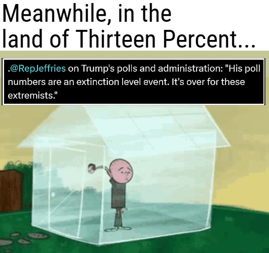 43% . Independent swing-supporters come and go. The MAGA movement is pretty stabile, with one critique: He's not MAGA enough. | Meanwhile, in the land of Thirteen Percent... | image tagged in democrats,donald trump,politics,polls | made w/ Imgflip meme maker