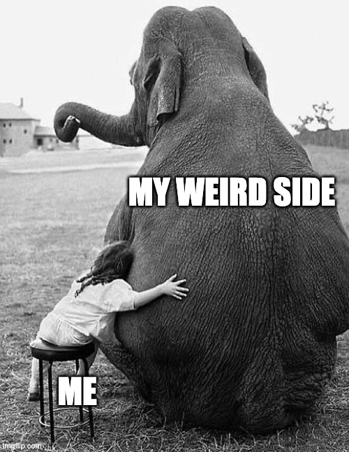 Embrace your weird | MY WEIRD SIDE; ME | image tagged in embrace,hugs | made w/ Imgflip meme maker
