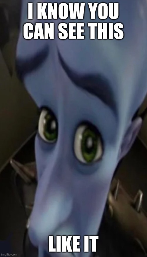 I KNOW YOU CAN SEE THIS LIKE IT | image tagged in no maidens | made w/ Imgflip meme maker