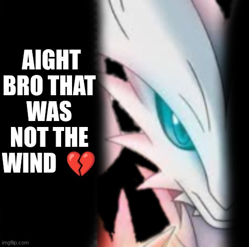 aight bro that was not the wind Blank Meme Template