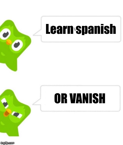 LEARN SPANISH OR VANISH | Learn spanish; OR VANISH | image tagged in duo gets mad,byebye | made w/ Imgflip meme maker