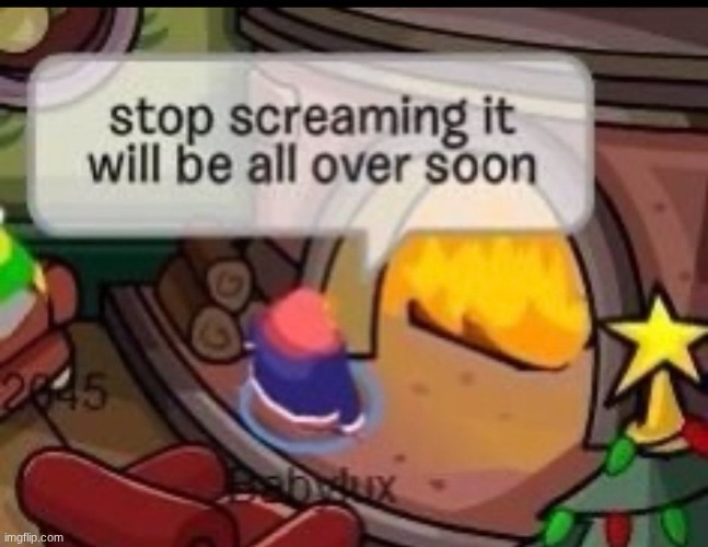 image tagged in club penguin | made w/ Imgflip meme maker