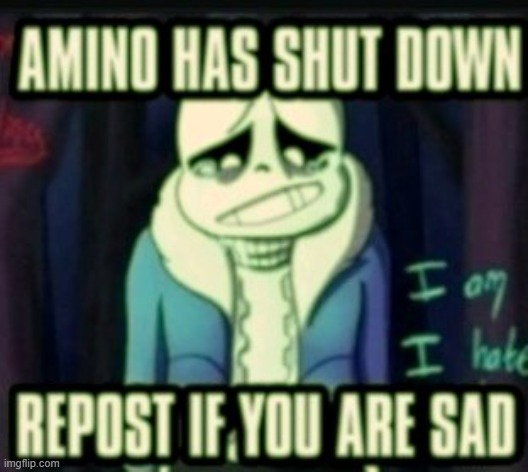 do we even remember amino | made w/ Imgflip meme maker