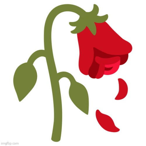 wilted rose | image tagged in wilted rose | made w/ Imgflip meme maker