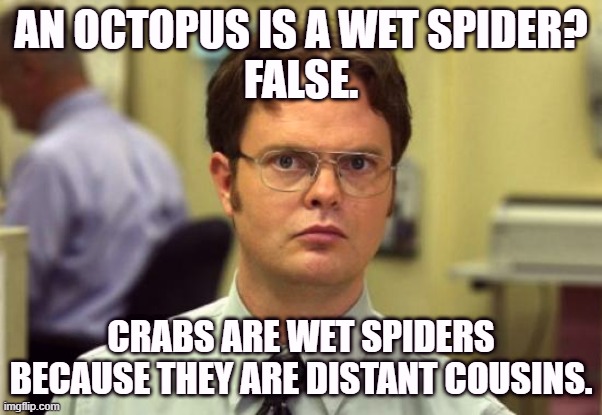 Crabs are the real wet spider | AN OCTOPUS IS A WET SPIDER?
FALSE. CRABS ARE WET SPIDERS BECAUSE THEY ARE DISTANT COUSINS. | image tagged in memes,dwight schrute,correction guy,false,shower thoughts,spider | made w/ Imgflip meme maker