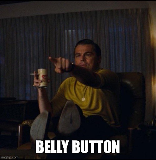 Leonardo DiCaprio Pointing | BELLY BUTTON | image tagged in leonardo dicaprio pointing | made w/ Imgflip meme maker