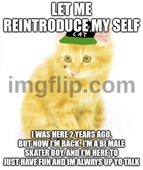 I'll take the fall | LET ME REINTRODUCE MY SELF; I WAS HERE 2 YEARS AGO. BUT NOW I'M BACK. I'M A BI MALE SKATER BOY. AND I'M HERE TO JUST HAVE FUN AND IM ALWAYS UP YO TALK | image tagged in wifi sckeleton,hahah | made w/ Imgflip meme maker