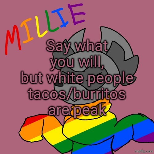 Millie's fursona announcement template | Say what you will, but white people tacos/burritos are peak | image tagged in millie's fursona announcement template | made w/ Imgflip meme maker