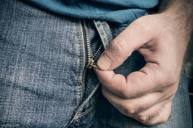 Fly unzip | image tagged in fly unzip | made w/ Imgflip meme maker