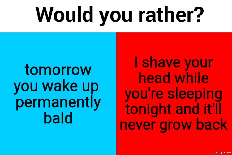 Would you rather? | tomorrow you wake up 
permanently
bald; I shave your head while you're sleeping tonight and it'll
never grow back | image tagged in would you rather | made w/ Imgflip meme maker