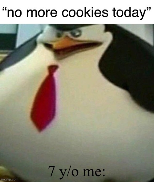 cookie | “no more cookies today”; 7 y/o me: | image tagged in thicc skipper,memes,funny,lmao | made w/ Imgflip meme maker