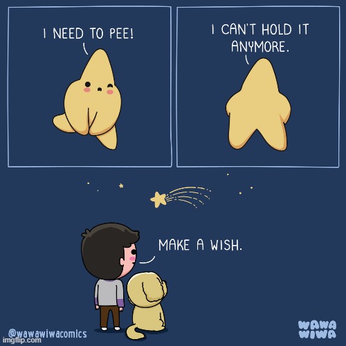 image tagged in star,pee,peeing,shooting star,wish,eww | made w/ Imgflip meme maker
