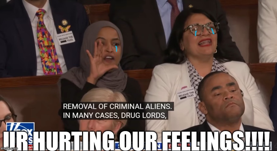 state of the union meme | UR HURTING OUR FEELINGS!!!! | image tagged in state of the union,politics,woke,maga,funny memes,liberals | made w/ Imgflip meme maker