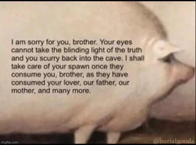 brother may I have some oats | image tagged in brother may i have some oats | made w/ Imgflip meme maker