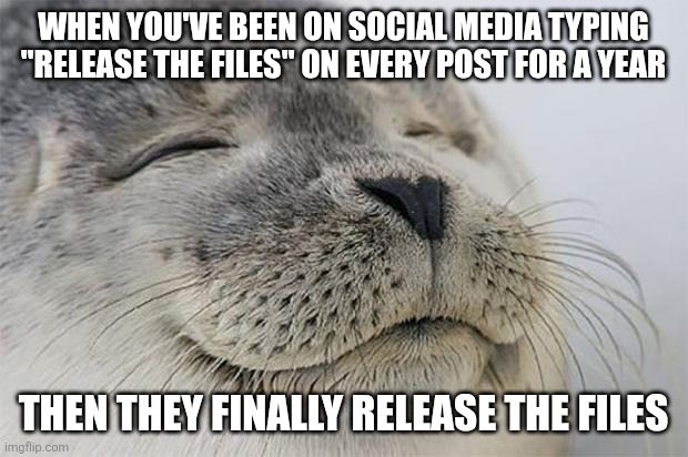 Not one person who typed "release the files" read one page of the files. | WHEN YOU'VE BEEN ON SOCIAL MEDIA TYPING "RELEASE THE FILES" ON EVERY POST FOR A YEAR; THEN THEY FINALLY RELEASE THE FILES | image tagged in memes,satisfied seal | made w/ Imgflip meme maker