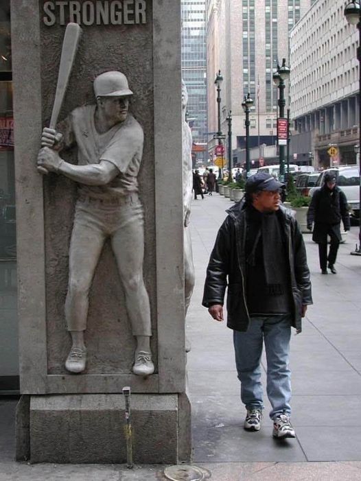 surprise bat Blank Meme Template