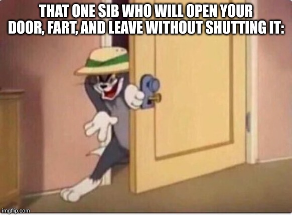 its so true tho | THAT ONE SIB WHO WILL OPEN YOUR DOOR, FART, AND LEAVE WITHOUT SHUTTING IT: | image tagged in tom sneaking in a room | made w/ Imgflip meme maker