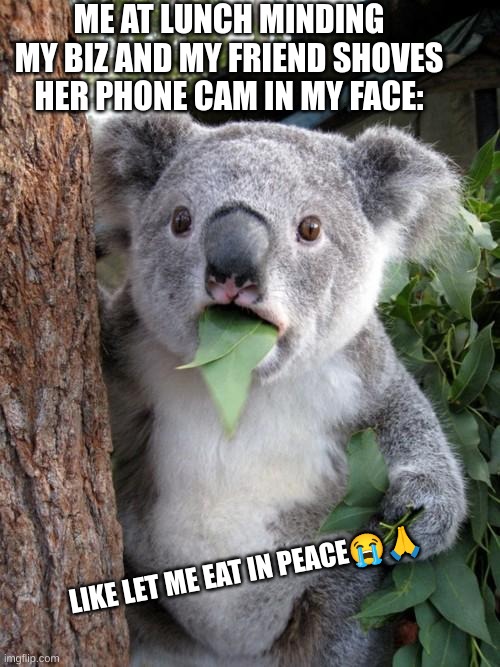 funny | ME AT LUNCH MINDING MY BIZ AND MY FRIEND SHOVES HER PHONE CAM IN MY FACE:; LIKE LET ME EAT IN PEACE😭🙏 | image tagged in memes,surprised koala | made w/ Imgflip meme maker