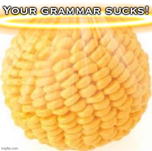 Holy Cornball | Your grammar sucks! | image tagged in holy cornball | made w/ Imgflip meme maker