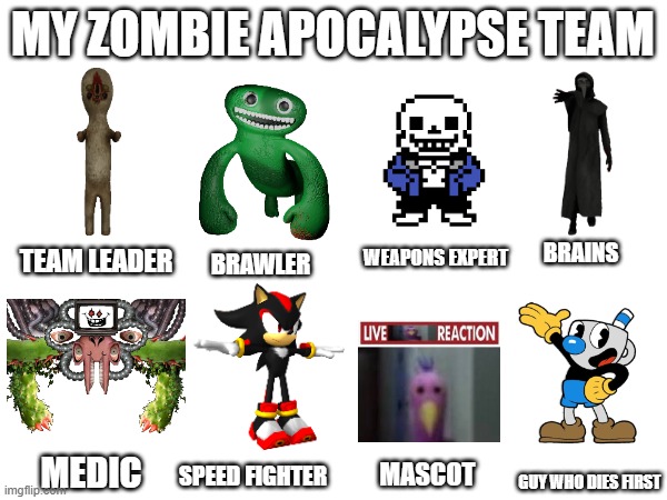 MY ZOMBIE APOCALYPSE TEAM TEAM LEADER MEDIC BRAWLER SPEED FIGHTER BRAINS GUY WHO DIES FIRST WEAPONS EXPERT MASCOT | made w/ Imgflip meme maker