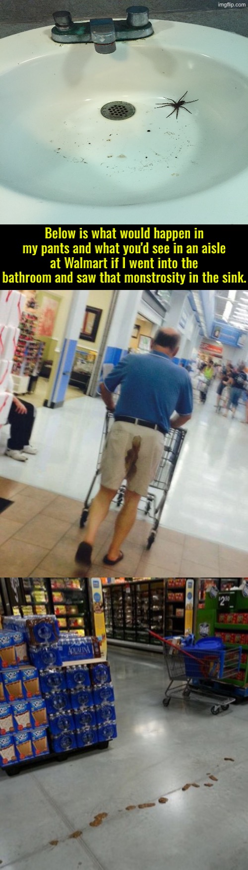 If I Saw That Monstrosity | Below is what would happen in my pants and what you'd see in an aisle at Walmart if I went into the bathroom and saw that monstrosity in the sink. | image tagged in nightmare fuel,spiders,arachnophobia,walmart,poopy pants,shart | made w/ Imgflip meme maker