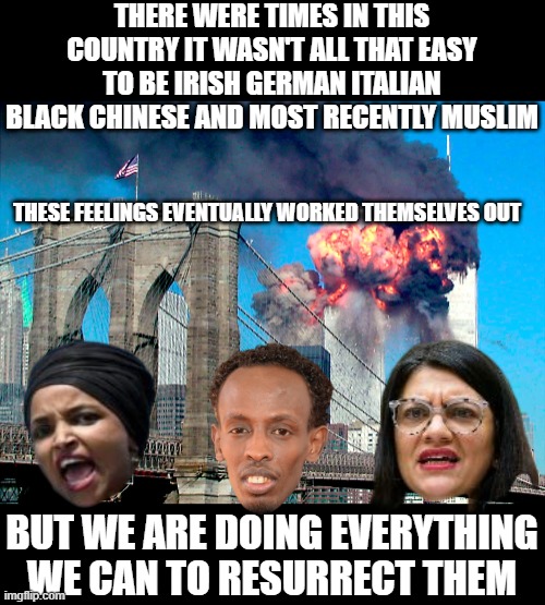 Really doing a great service for their people | THERE WERE TIMES IN THIS COUNTRY IT WASN'T ALL THAT EASY TO BE IRISH GERMAN ITALIAN BLACK CHINESE AND MOST RECENTLY MUSLIM; THESE FEELINGS EVENTUALLY WORKED THEMSELVES OUT; BUT WE ARE DOING EVERYTHING WE CAN TO RESURRECT THEM | image tagged in omar talib pirates ruining it for muslims meme | made w/ Imgflip meme maker