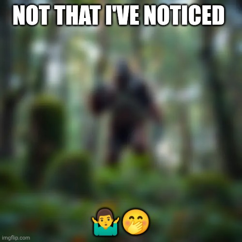 Blurry Bigfoot | NOT THAT I'VE NOTICED ?‍♂️? | image tagged in blurry bigfoot | made w/ Imgflip meme maker