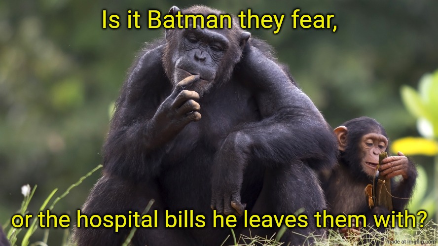 Funky with a Monkey | Is it Batman they fear, or the hospital bills he leaves them with? | image tagged in female chimp thinking | made w/ Imgflip meme maker