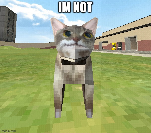 kitr | IM NOT | image tagged in kitr | made w/ Imgflip meme maker