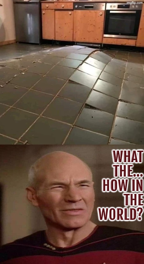 Reminds me of the movie Tremors | WHAT THE... HOW IN THE WORLD? | image tagged in what the,how did this happen,dafuq picard,tremors,you had one job,do you are have stupid | made w/ Imgflip meme maker