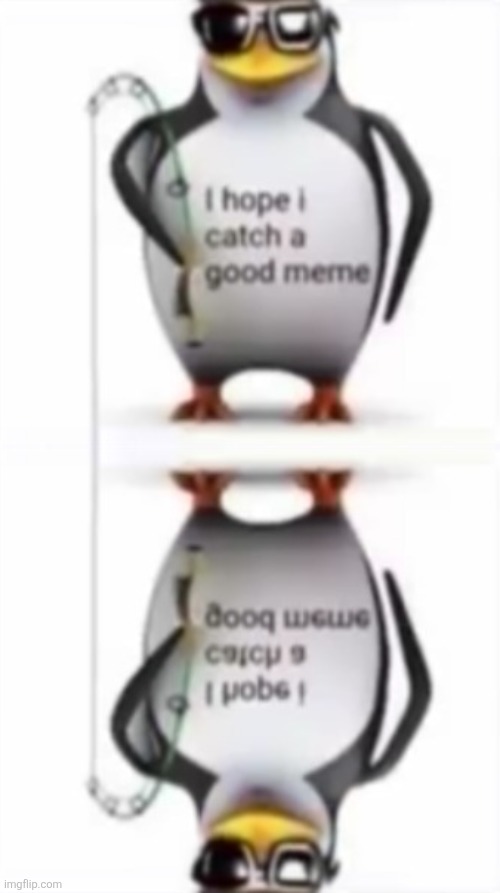 image tagged in i hope i catch a good meme | made w/ Imgflip meme maker