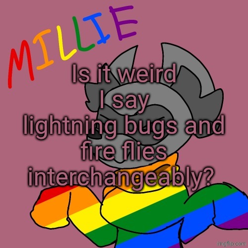 Millie's fursona announcement template | Is it weird I say lightning bugs and fire flies interchangeably? | image tagged in millie's fursona announcement template | made w/ Imgflip meme maker