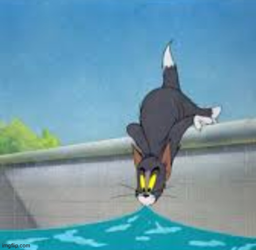 Tom Drinking From a Pool Blank Meme Template
