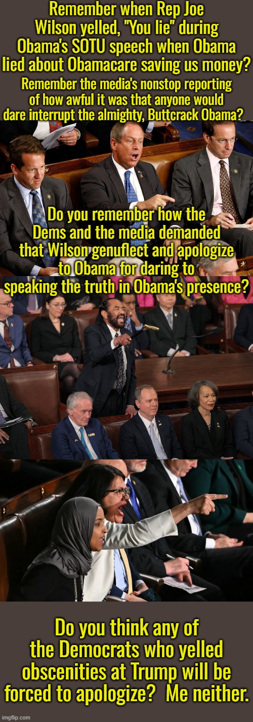 The Democrats have no ideas that resonate with America.  Then they just imploded the party in one night.  Buh bye Dems. | Remember when Rep Joe Wilson yelled, "You lie" during Obama's SOTU speech when Obama lied about Obamacare saving us money? Remember the media's nonstop reporting of how awful it was that anyone would dare interrupt the almighty, Buttcrack Obama? Do you remember how the Dems and the media demanded that Wilson genuflect and apologize to Obama for daring to speaking the truth in Obama's presence? Do you think any of the Democrats who yelled obscenities at Trump will be forced to apologize?  Me neither. | image tagged in so long and thanks for nothing,democrats hate america,the democrat party has no reason to exist | made w/ Imgflip meme maker