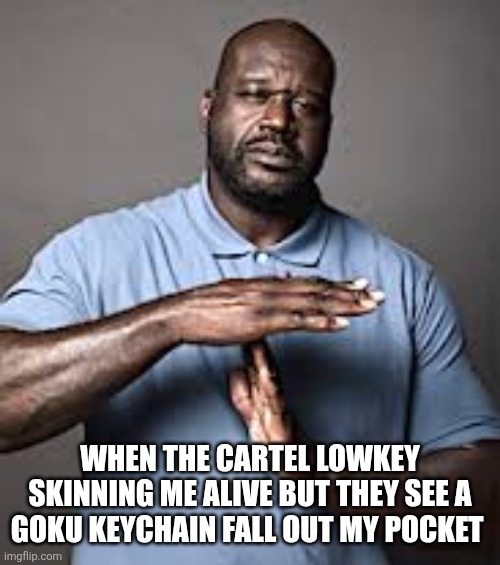 Wait a minute... | WHEN THE CARTEL LOWKEY SKINNING ME ALIVE BUT THEY SEE A GOKU KEYCHAIN FALL OUT MY POCKET | image tagged in shaq time out,funny,memes,goku,mexico | made w/ Imgflip meme maker