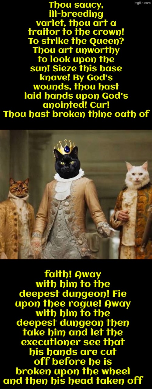 Seize This Base Knave | Thou saucy, ill-breeding varlet, thou art a traitor to the crown! To strike the Queen? Thou art unworthy to look upon the sun! Sieze this base knave! By God's wounds, thou hast laid hands upon God's anointed! Cur! Thou hast broken thine oath of; faith! Away with him to the deepest dungeon! Fie upon thee rogue! Away with him to the deepest dungeon then take him and let the executioner see that his hands are cut off before he is broken upon the wheel and then his head taken off | image tagged in cats,medieval memes,the king,the queen,funny cats,execution | made w/ Imgflip meme maker