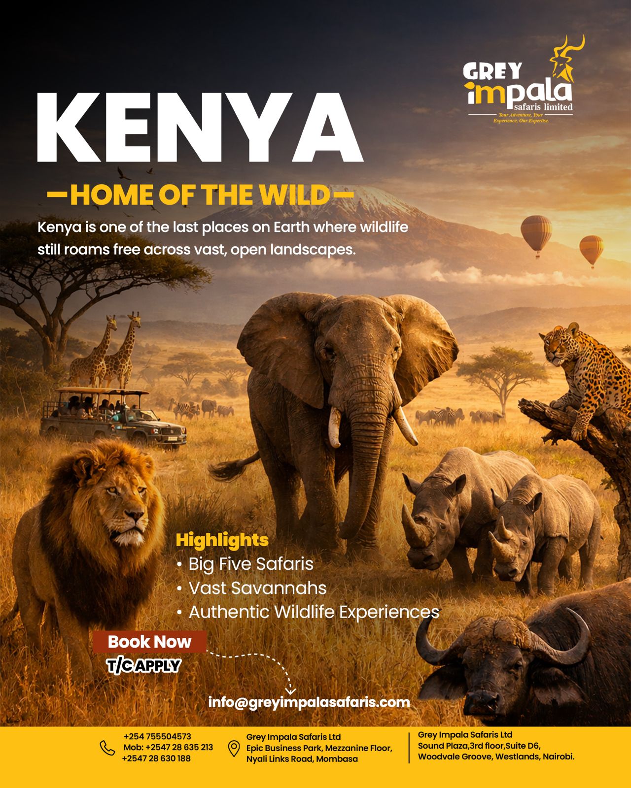 Kenya – Home of the Wild Blank Meme Template