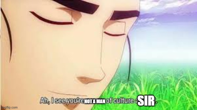 Ah,I see you are a man of culture as well | NOT A MAN SIR | image tagged in ah i see you are a man of culture as well | made w/ Imgflip meme maker