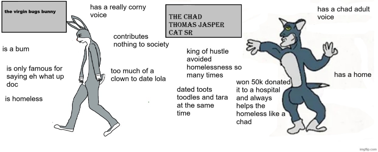 spreading the thomas jasper cat sr propaganda | image tagged in virgin vs chad | made w/ Imgflip meme maker