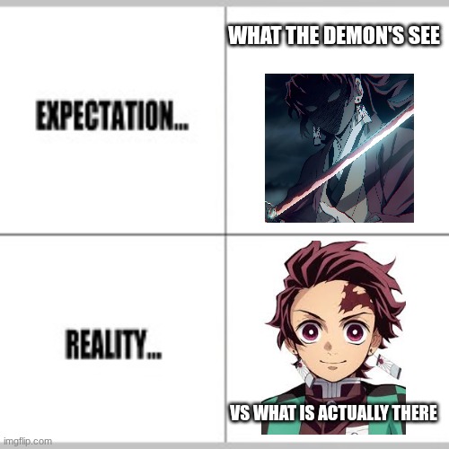 Expectation vs Reality | WHAT THE DEMON'S SEE; VS WHAT IS ACTUALLY THERE | image tagged in expectation vs reality,demon slayer | made w/ Imgflip meme maker