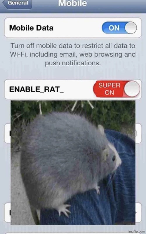 hwo to turn itoff: the rat | made w/ Imgflip meme maker