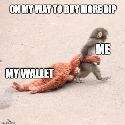 HODL level: Punch the Monkey strong. | ON MY WAY TO BUY MORE DIP; ME; MY WALLET | image tagged in punch the monkey,cryptocurrency,crypto,funny memes,funny | made w/ Imgflip meme maker