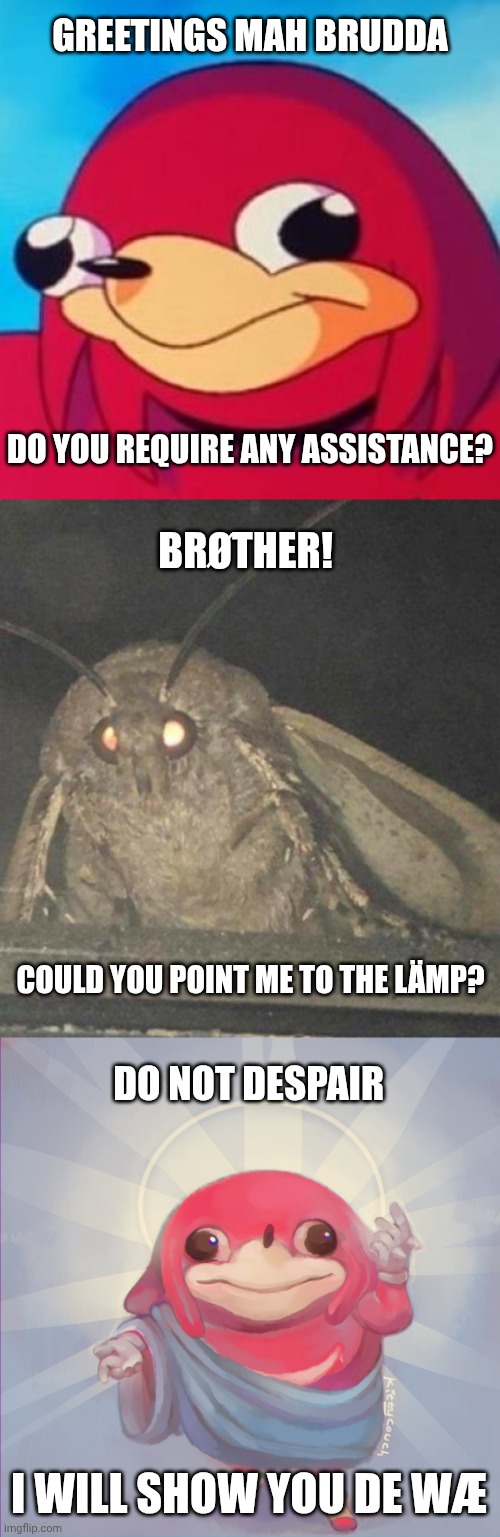 GREETINGS MAH BRUDDA; DO YOU REQUIRE ANY ASSISTANCE? BRØTHER! COULD YOU POINT ME TO THE LÄMP? DO NOT DESPAIR; I WILL SHOW YOU DE WÆ | image tagged in ugandan knuckles,moth,do you know da wae | made w/ Imgflip meme maker