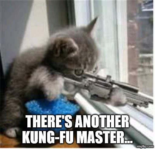 cats with guns | THERE'S ANOTHER KUNG-FU MASTER... | image tagged in cats with guns | made w/ Imgflip meme maker
