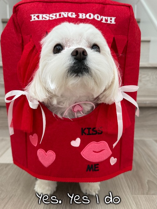 Yes. Yes I do | made w/ Imgflip meme maker